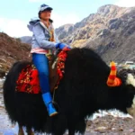 Things to do in Gangtok 20 Activities to Try in Sikkim in March