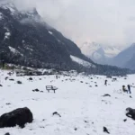Sikkim in February 16 January Destinations in Sikkim
