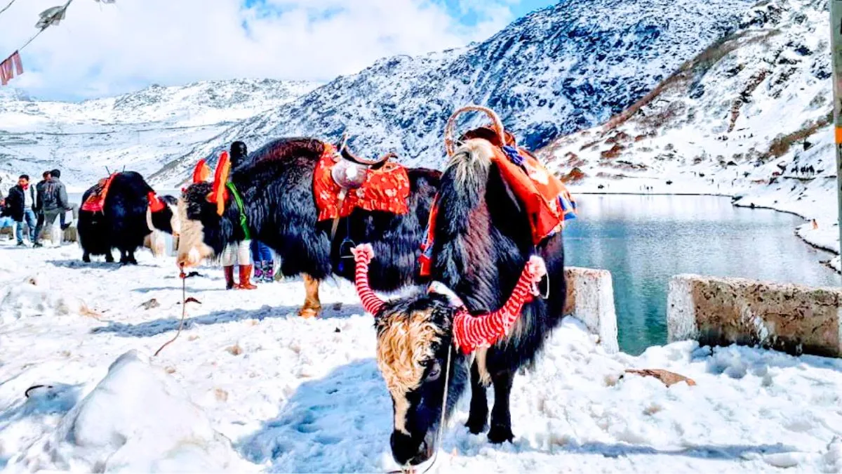 sikkim