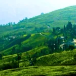 Romantic Places for Honeymoon in Sikkim 14 Bunkulung