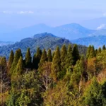 Top 15 Honeymoon Places in Gangtok and Darjeeling for Your Romantic Trip in 2024 17 Tiffin Dara View Point