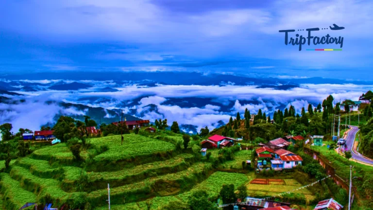 Honeymoon Places in Gangtok and Darjeeling for Your Romantic Trip