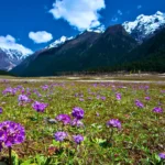 Gangtok in April 17 Lachung in Summer