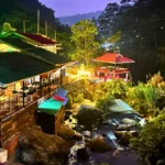Top Vegetarian Restaurants in Lachen 16 Local Roots Café