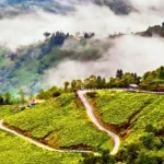 Pelling in June 15 Darjeeling in February