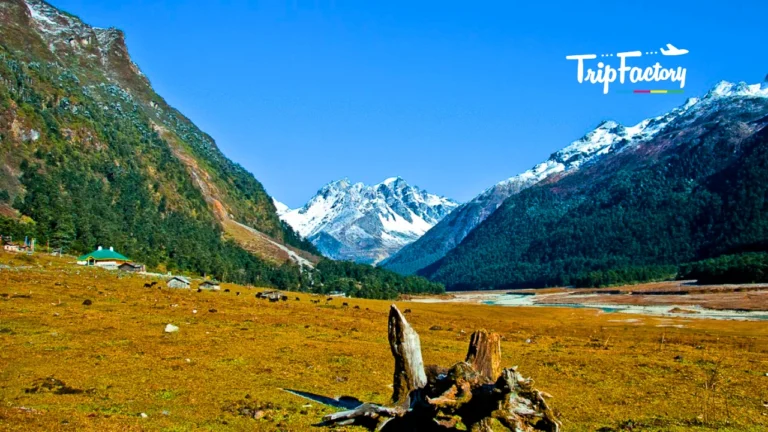 Lachung in April