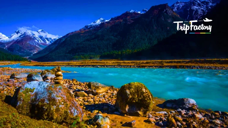 Lachung in July