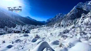 Lachung in November